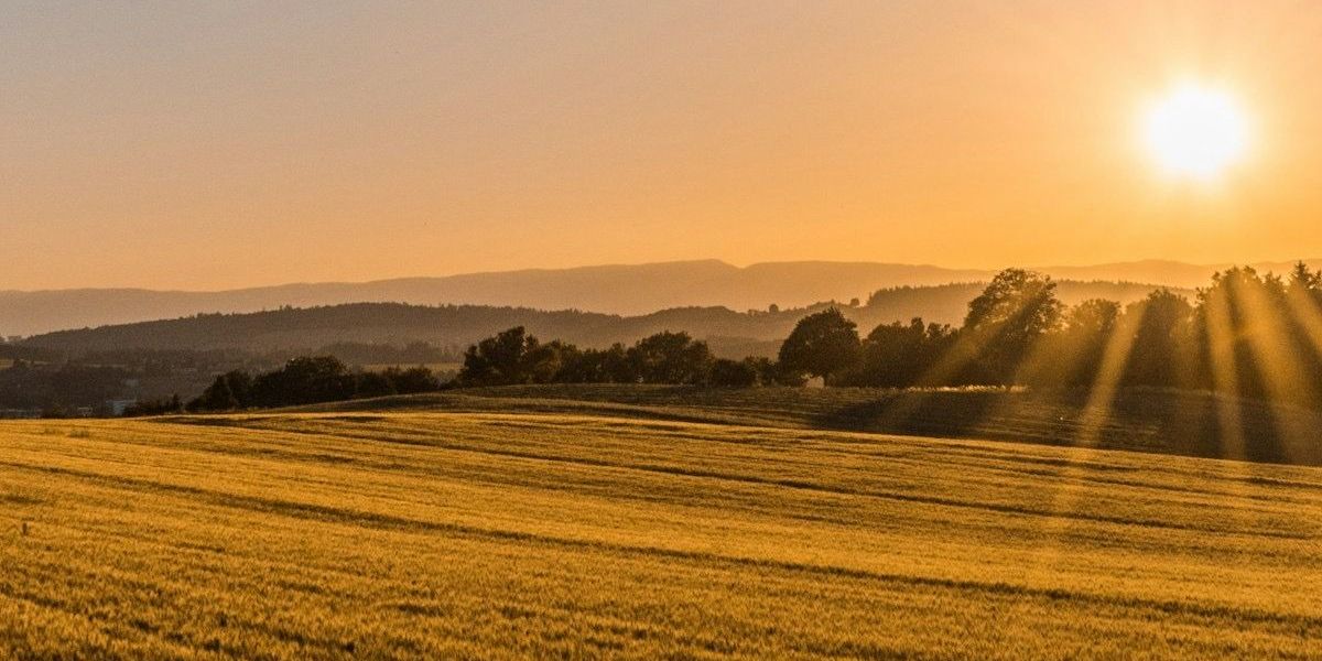 Sunrise over an open field